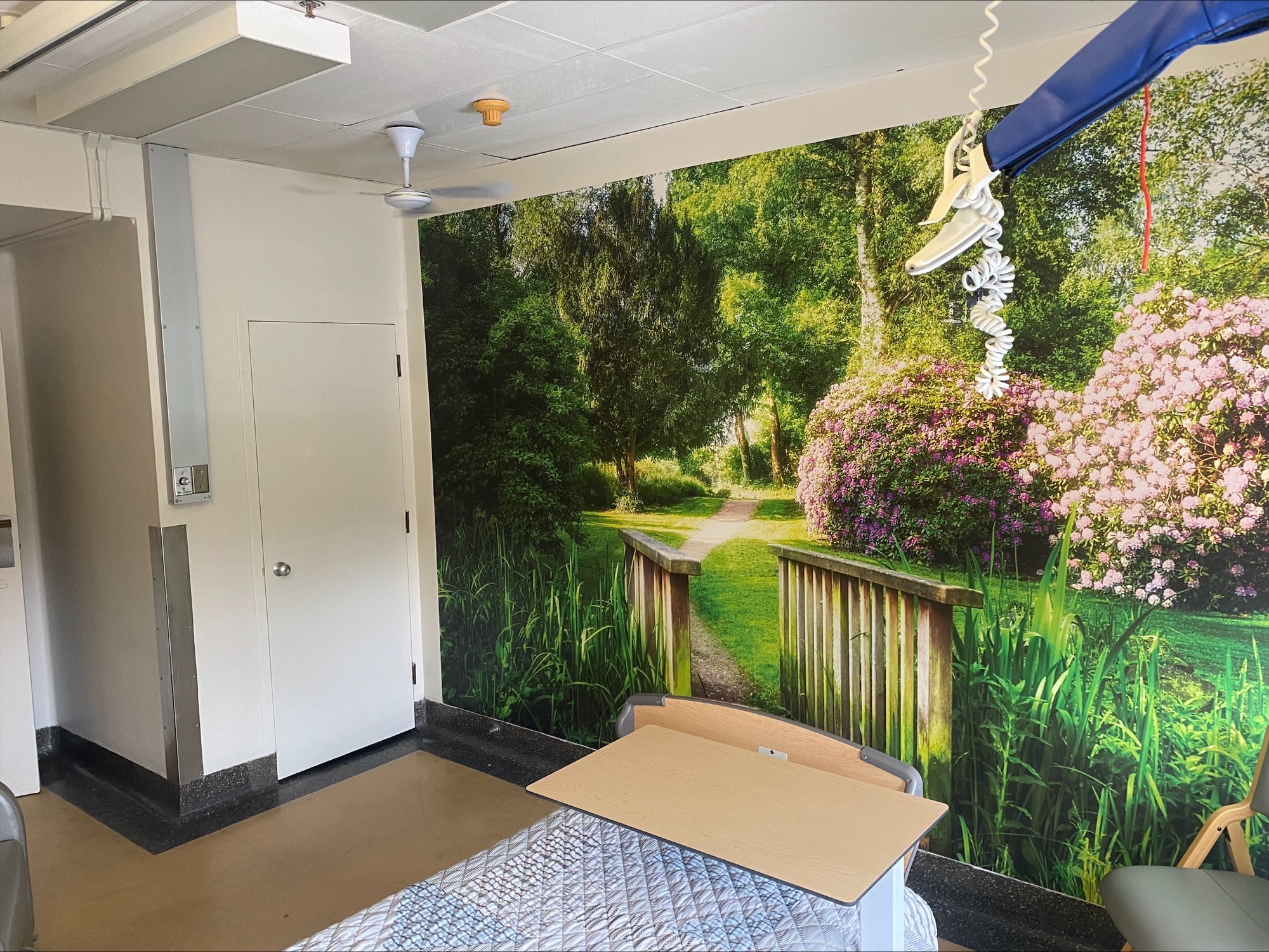 chambre 313 hopital de papineau