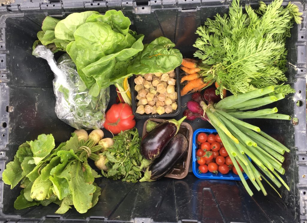 panier legume Jardin des draveurs