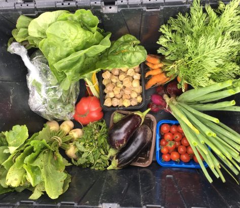 panier legume Jardin des draveurs